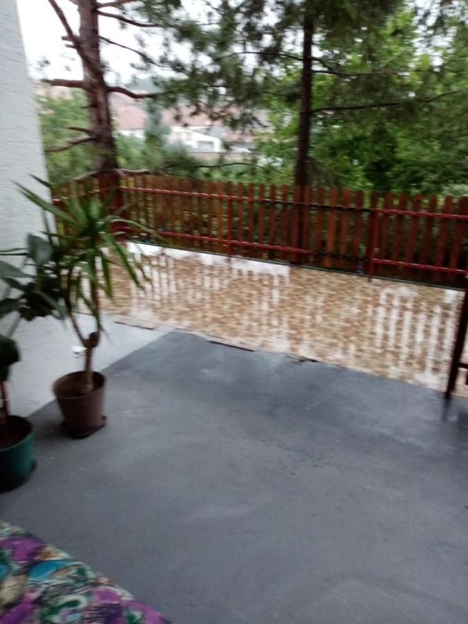 Family Apartman Ana - Star Golubac Εξωτερικό φωτογραφία
