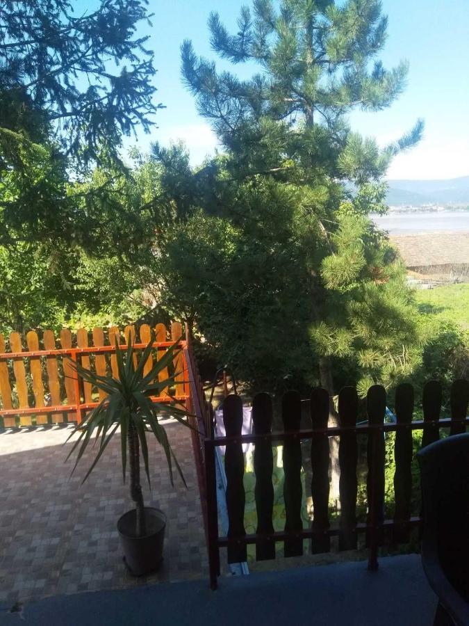 Family Apartman Ana - Star Golubac Εξωτερικό φωτογραφία