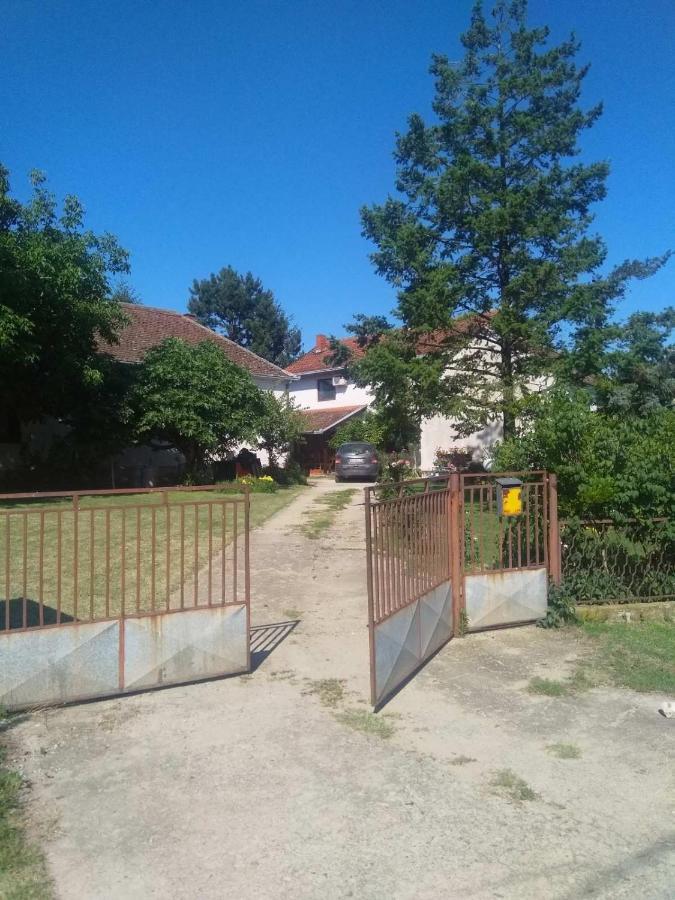 Family Apartman Ana - Star Golubac Εξωτερικό φωτογραφία