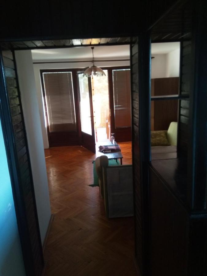 Family Apartman Ana - Star Golubac Εξωτερικό φωτογραφία
