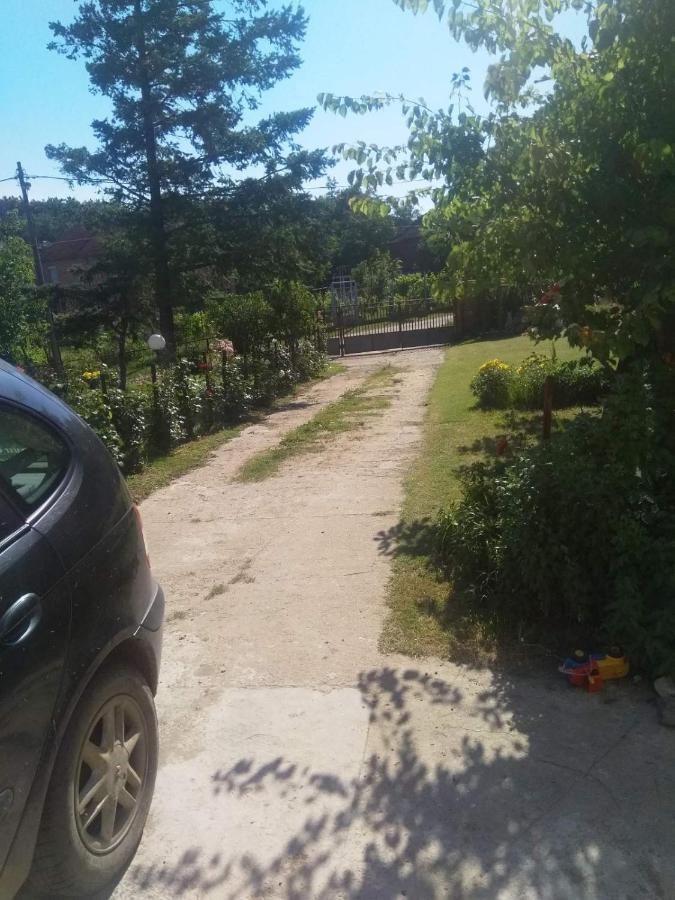 Family Apartman Ana - Star Golubac Εξωτερικό φωτογραφία