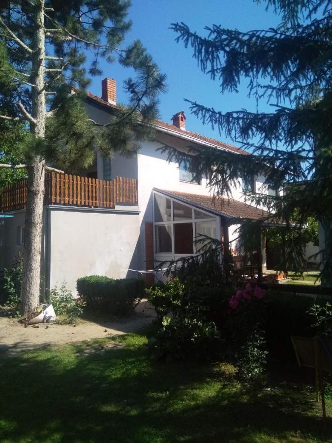 Family Apartman Ana - Star Golubac Εξωτερικό φωτογραφία