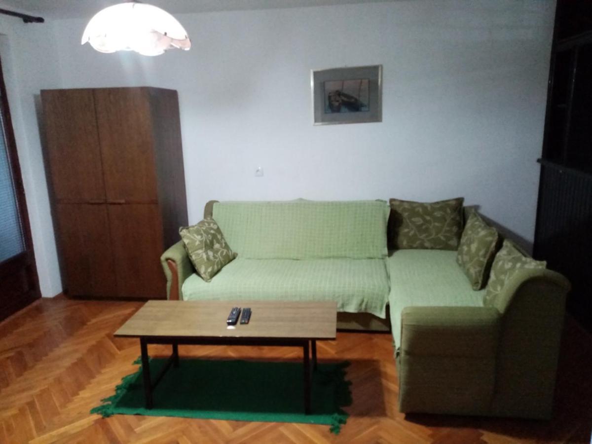 Family Apartman Ana - Star Golubac Εξωτερικό φωτογραφία