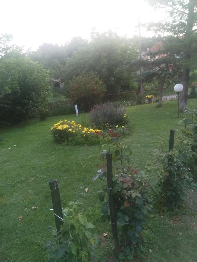 Family Apartman Ana - Star Golubac Εξωτερικό φωτογραφία