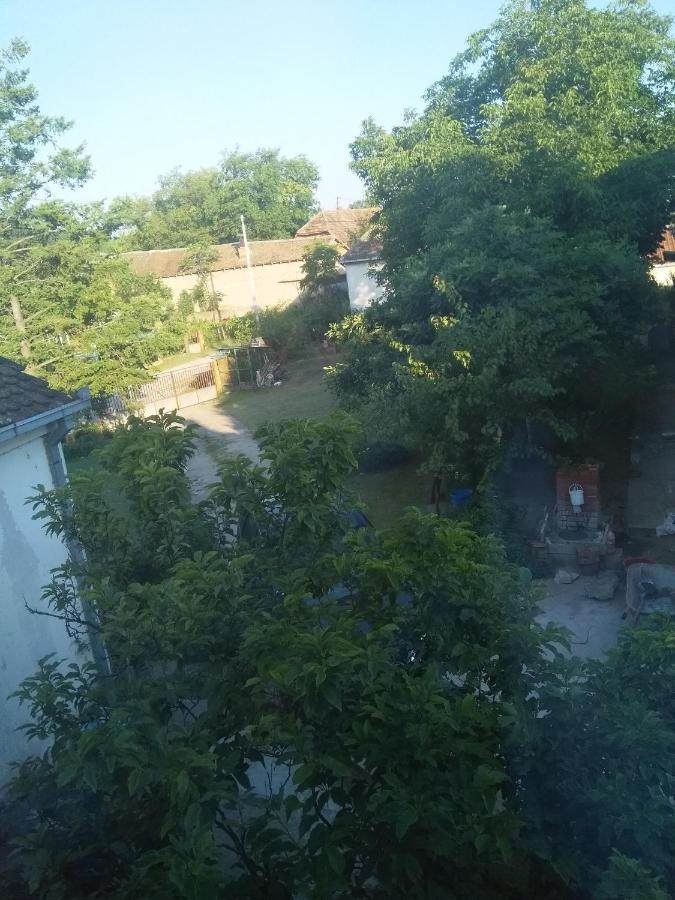 Family Apartman Ana - Star Golubac Εξωτερικό φωτογραφία
