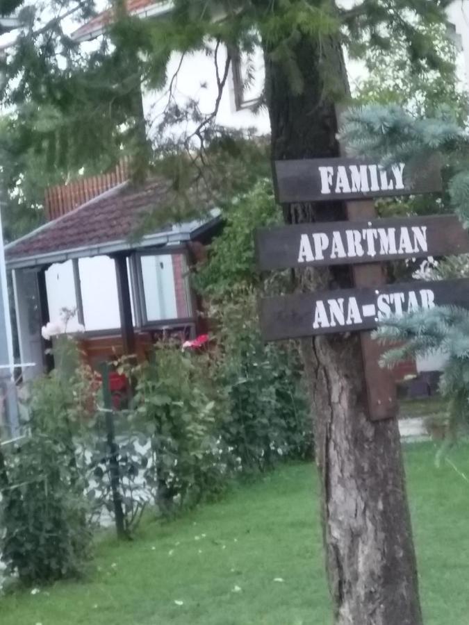 Family Apartman Ana - Star Golubac Εξωτερικό φωτογραφία