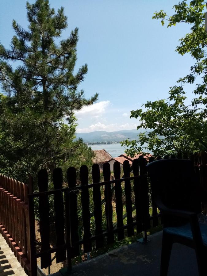Family Apartman Ana - Star Golubac Εξωτερικό φωτογραφία